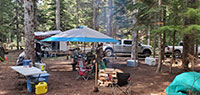 Deer Camp