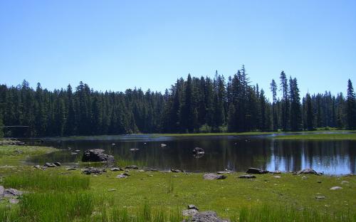 Frying Pan Lake - North Side - Mount Hood National Forest, Oregon