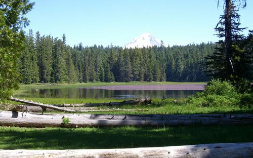 Frying Pan Lake - South Side - Mount Hood National Forest, Oregon