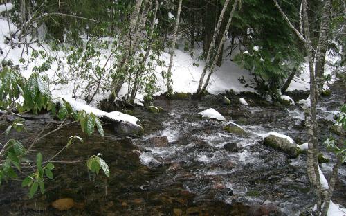 High Rock Creek, Oregon