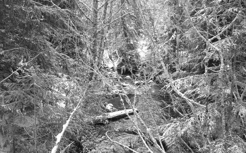 High Rock Creek, Oregon