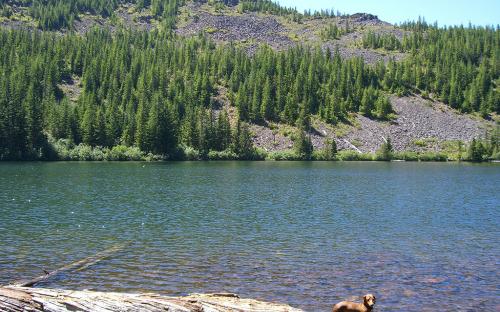 Shining Lake - Mount Hood National Forest, Oregon