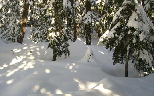 Twin Lakes, Oregon