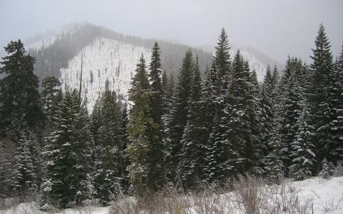 Upper Clackamas, Oregon