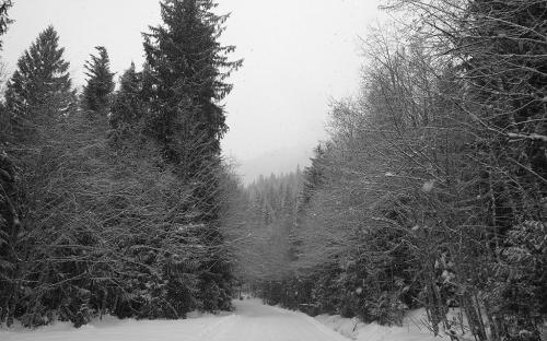 Upper Clackamas, Oregon