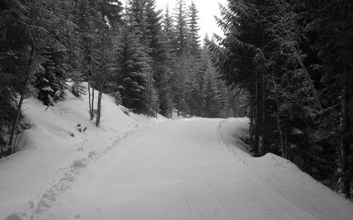 Upper Clackamas, Oregon