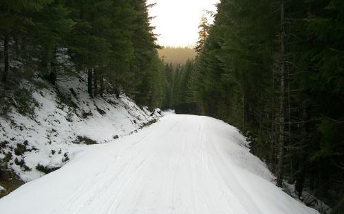Upper Clackamas, Oregon
