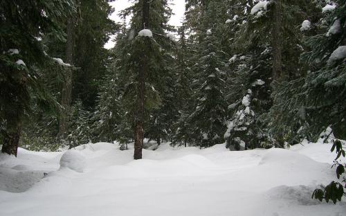 Upper Clackamas, Oregon