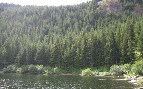 Veda Lake - Mount Hood National Forest, Oregon