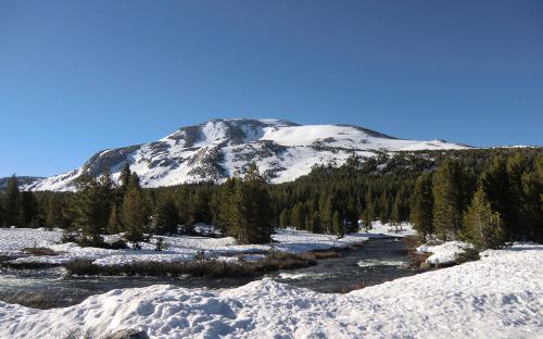 Mammoth Peak - Yosemite, CA