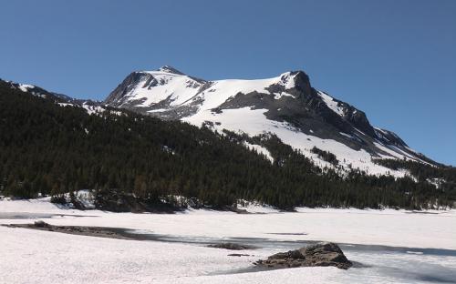 Mount Dana from Tioga Lake - Yosemite, CA