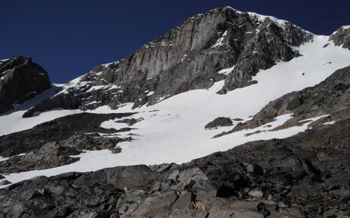 Mount Dana Couloirs - Yosemite, CA