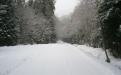 Upper Clackamas, Oregon
