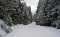 Upper Clackamas, Oregon
