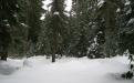 Upper Clackamas, Oregon