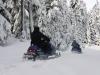 Snowmobiling Near Frog Lake, Oregon