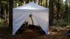 Picture of deer hunting camp