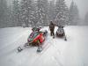 Picture of Snowmobiling near Frog Lake, Oregon