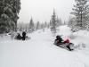 Picture of snowmobiling near Mt Hood, Oregon