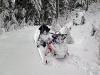 Picture of snowmobiling near Bonney Meadows, Oregon