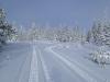 Picture of snowmobiling on Frog Lake Buttes, Oregon