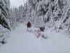 Picture of snowmobiling near Mt Hood