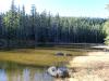 Picture of Green Lake - Mt Hood National Forest, Oregon