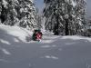 Picture of snowmobiling near Lookout Mountain, Oregon