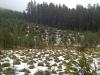 Picture of barely any snow near Frog Lake, Oregon