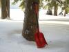 Lifeline Aluminum Sport Utility Snow Shovel near Tree